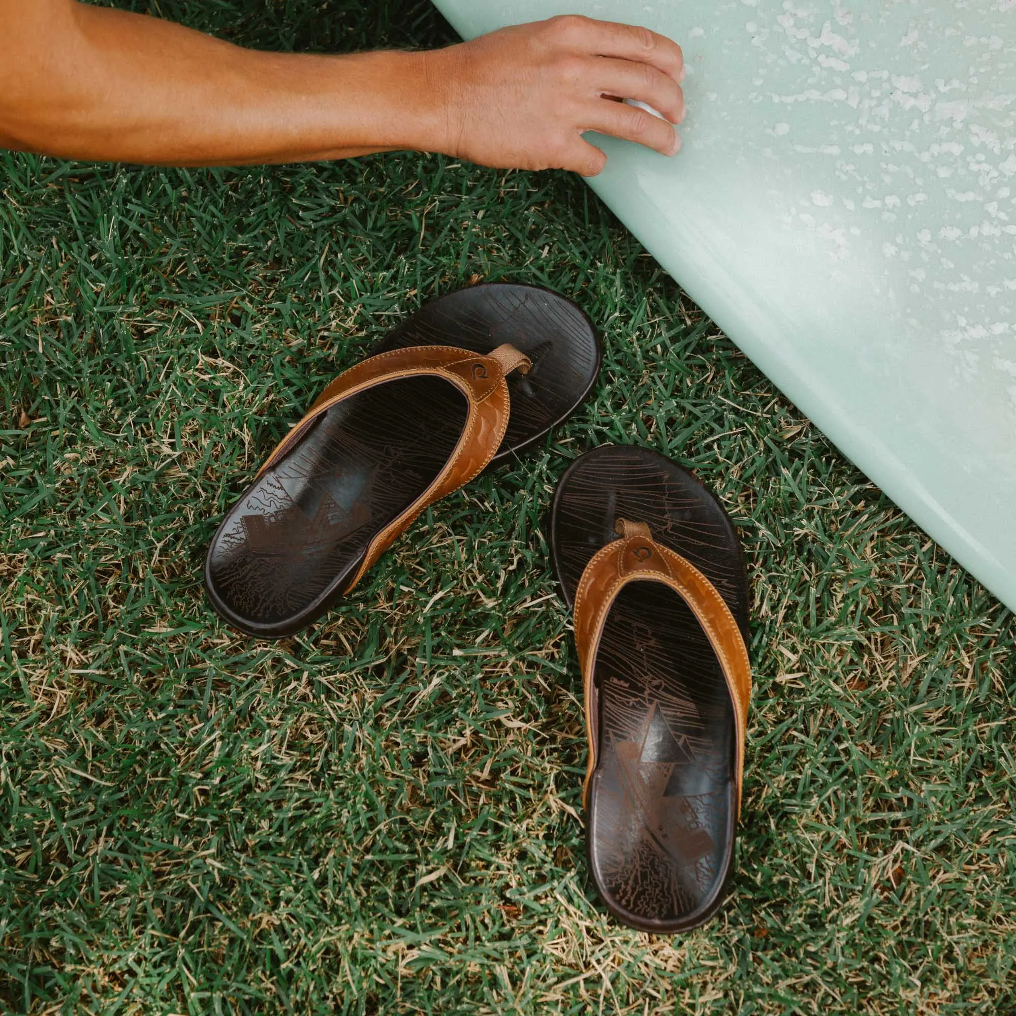 Hikianalia - Tan / Dark Java<br> C OluKai - Image 6